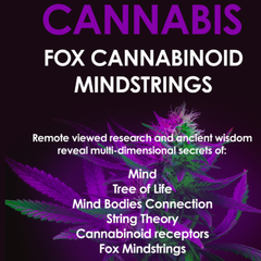 E BOOK CANNABIS-FOX CANNABINOID MINDSTRINGS