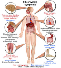 Fibromyalgia:  PURIFICACION FOX 15 de octubre 2025 $10