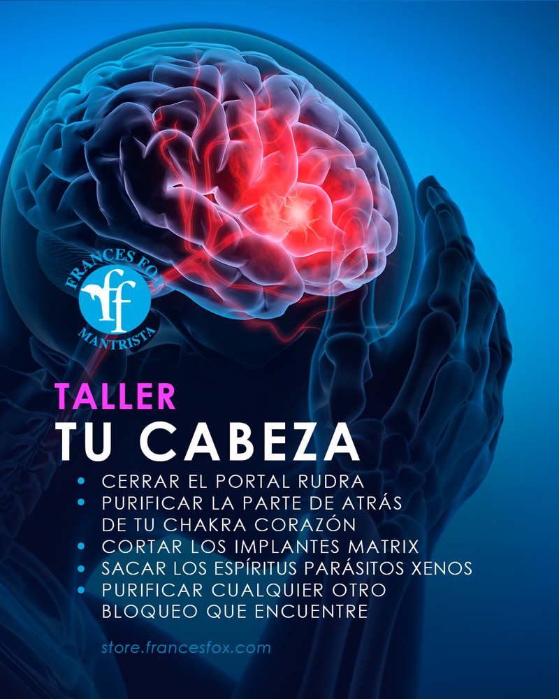 Taller: TU CABEZA 26 de Agosto, 2025  7 PM EST $10