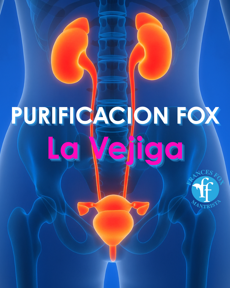 La Vejiga : PURIFICACION FOX 15 de octubre 2025 10$