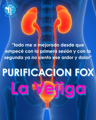 La Vejiga : PURIFICACION FOX 15 de octubre 2025 10$