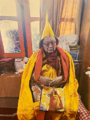 Rimpoche Tantrico que protege y purifica Venezuela