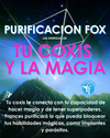 TU COXIS Y LA MAGIA: PURIFICACION FOX  30 de noviembre 2025  $40