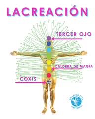 Taller: CREACIÓN 9 de Octubre, 2025 5:00 PM EST $145