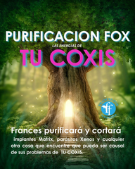 TU COXIS: PURIFICACION FOX  15 de octubre 2025  $40